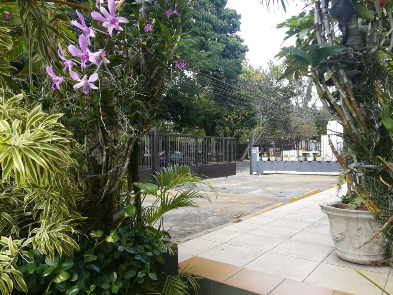Jardines Del Teatro Hotel Santo Domingo Exterior foto